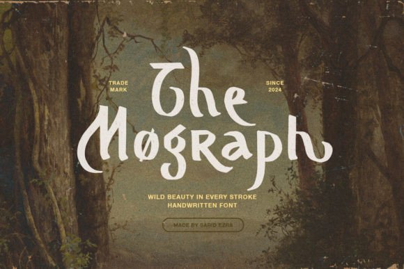 How Mograph Transformed My Brand’s Visual Identity