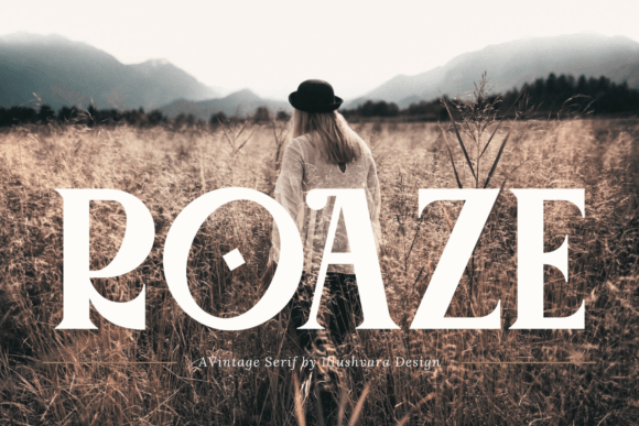 Roaze Serif Font for Web Design